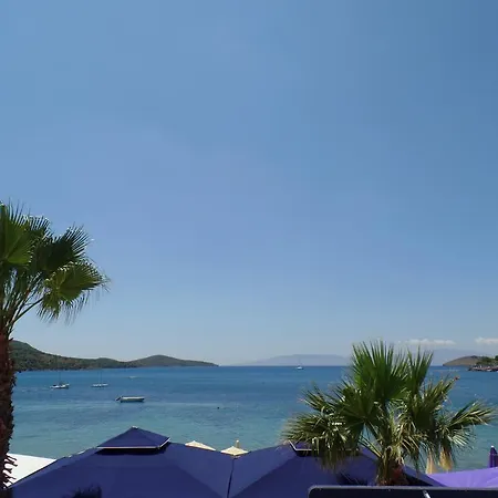 Appartement Almera Beachfront Apartmant *